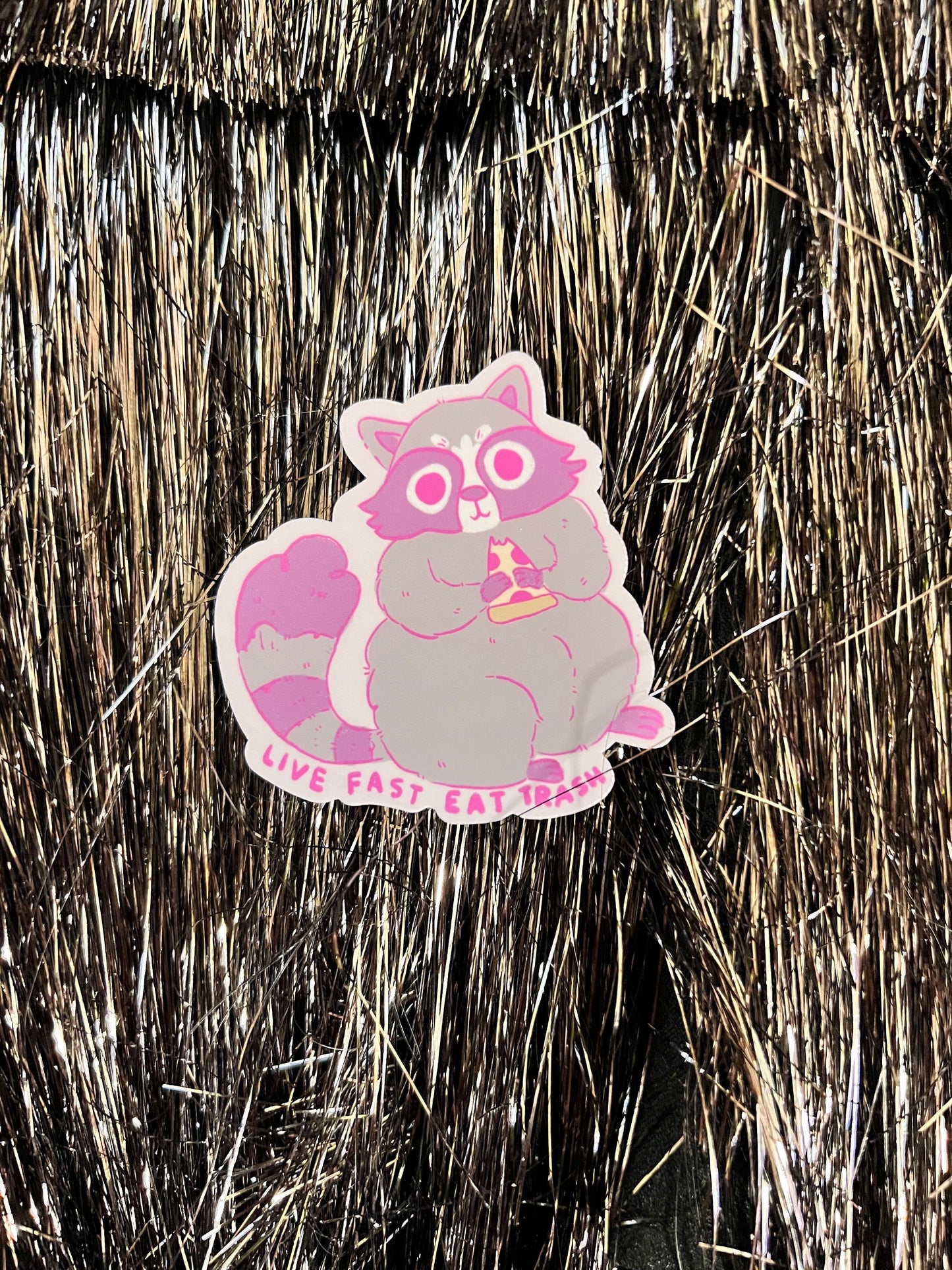 Live Fast Eat Trash Sticker